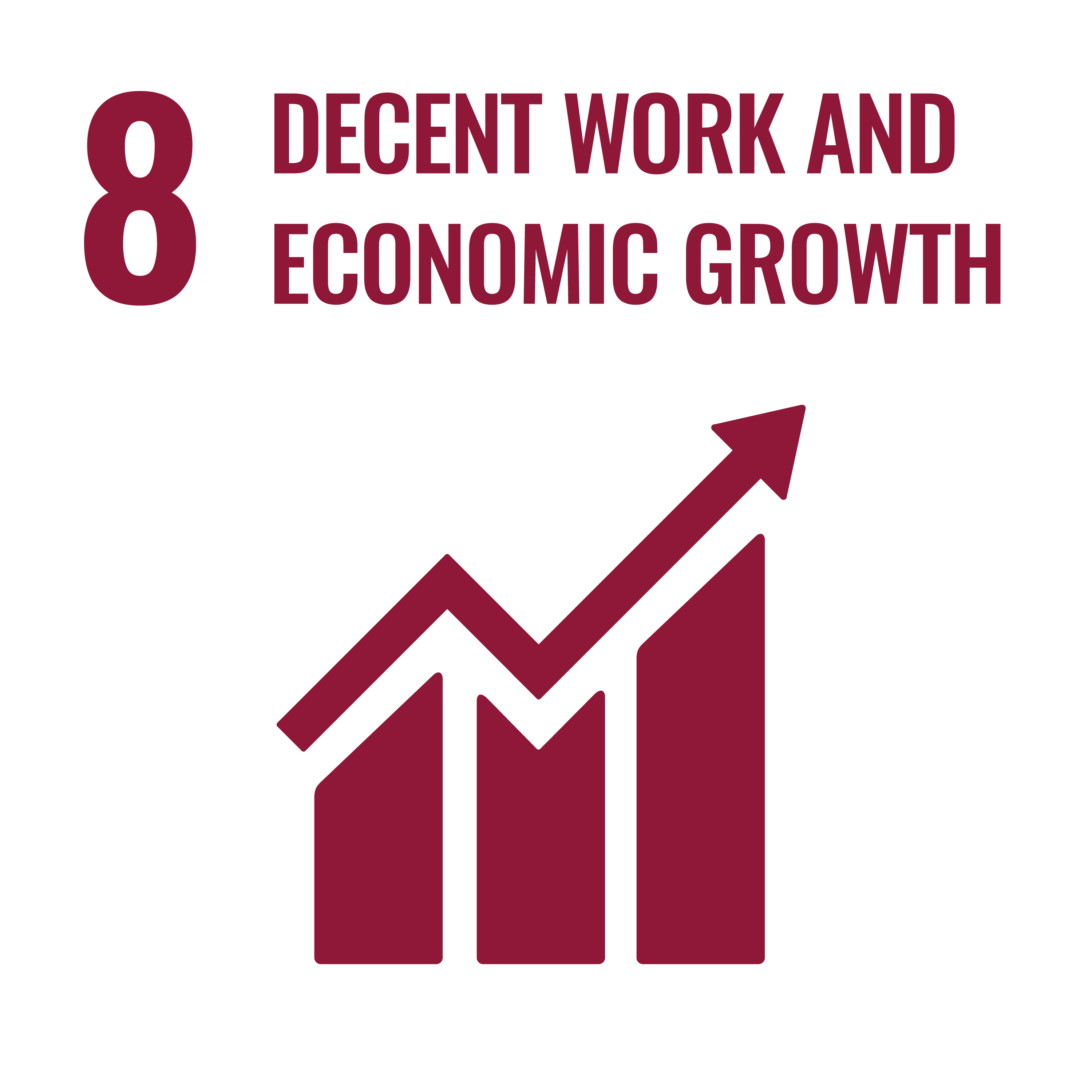 SDG 8: Decent Work and Economic Growth