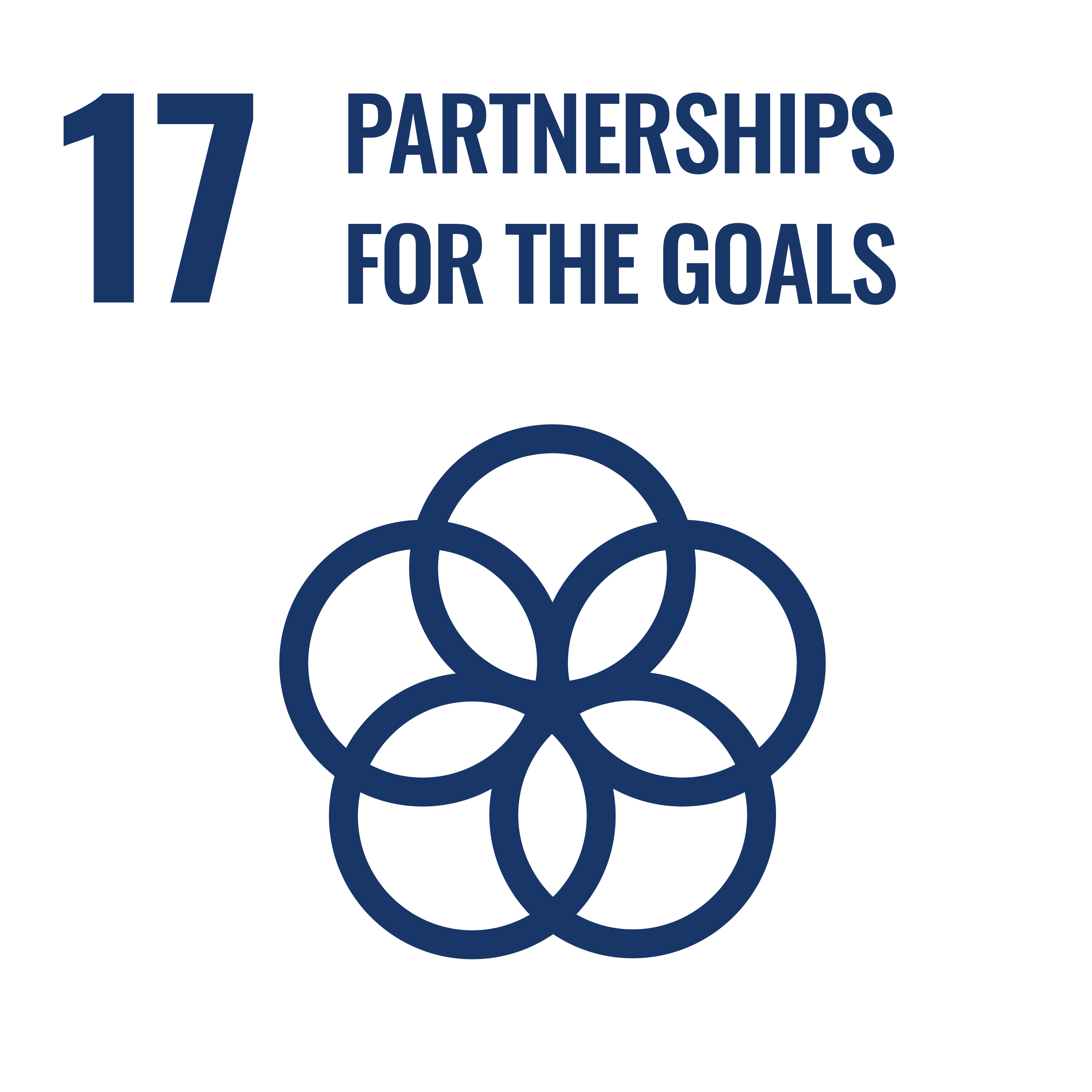 SDG 17: Partnership for the Goals